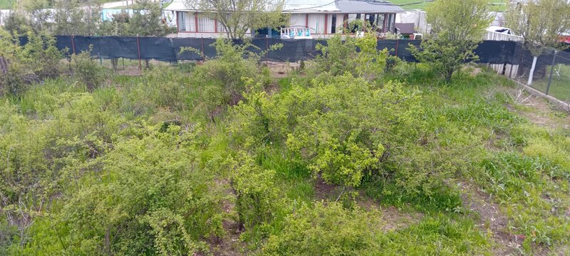 Butimanu, Dambovita,